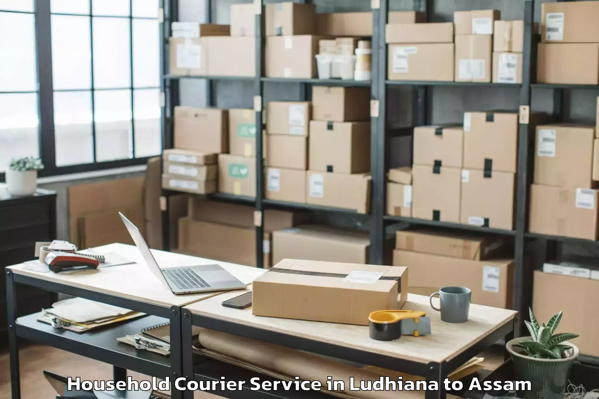 Book Your Ludhiana to Silchar Household Courier Today